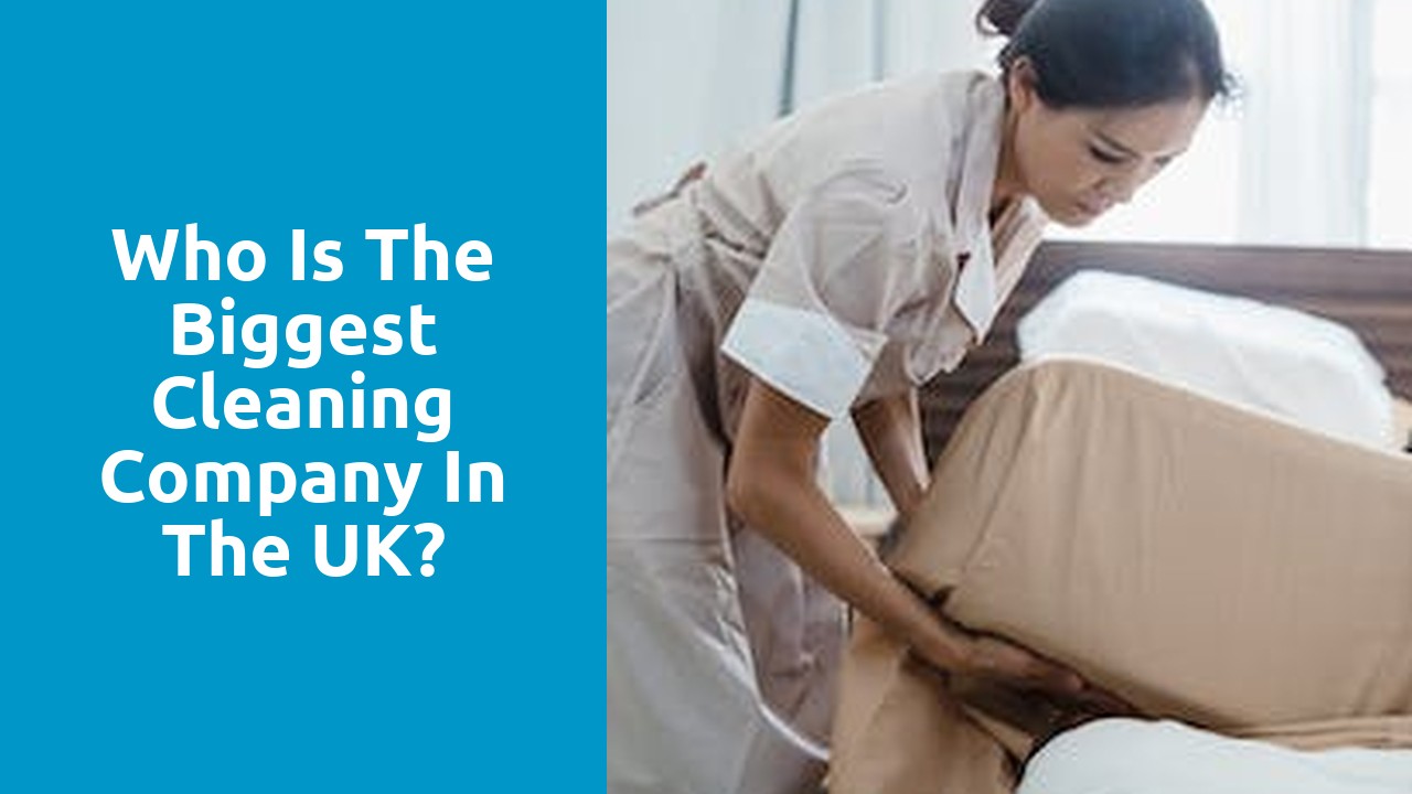 Who is the biggest cleaning company in the UK?