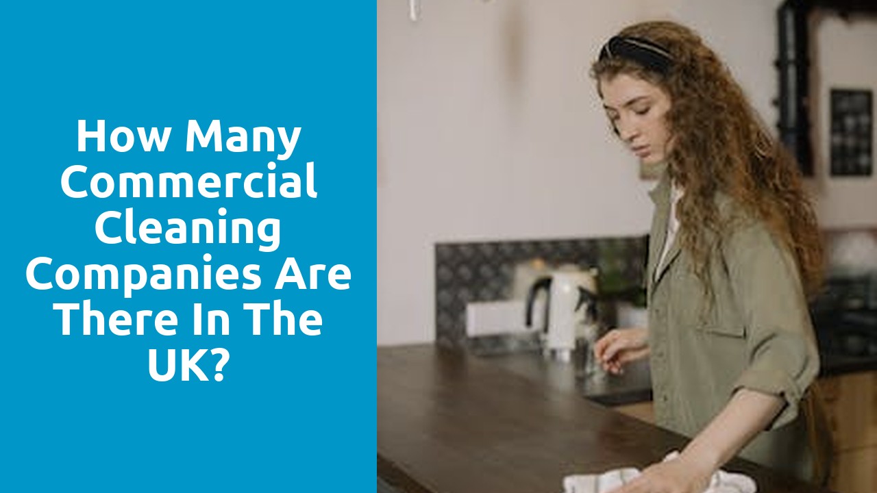 How many commercial cleaning companies are there in the UK?