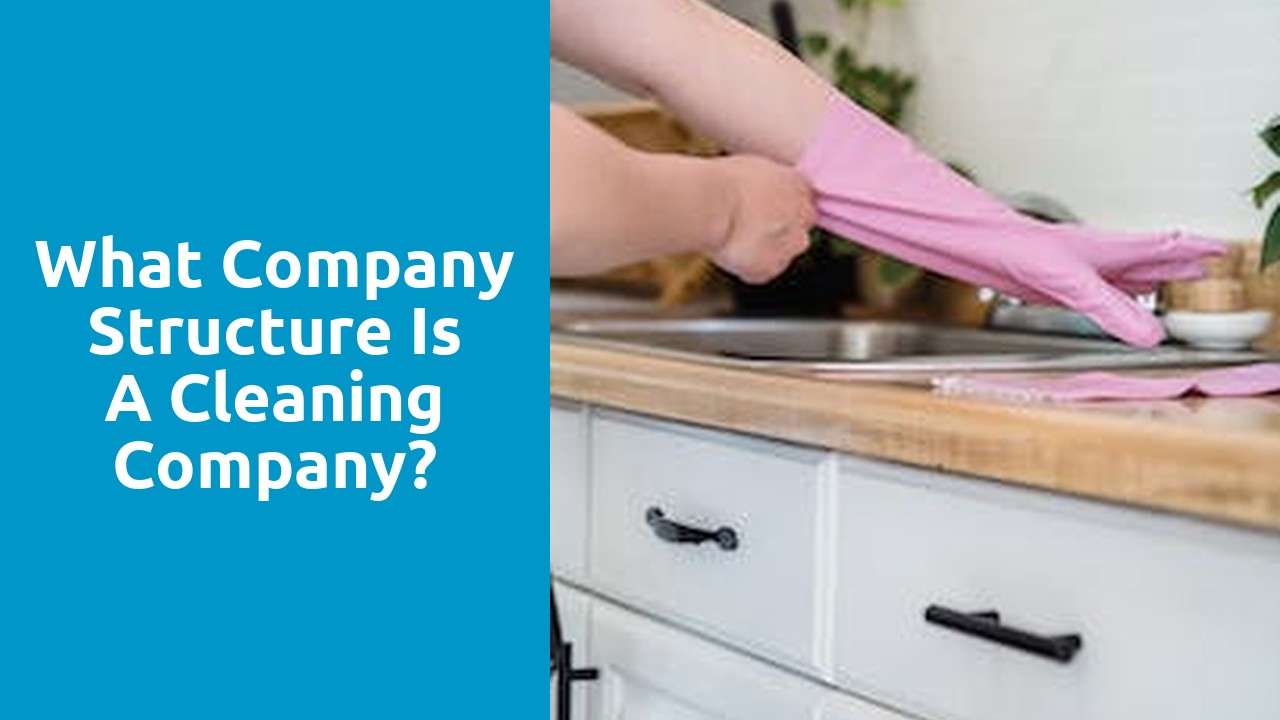 What company structure is a cleaning company?