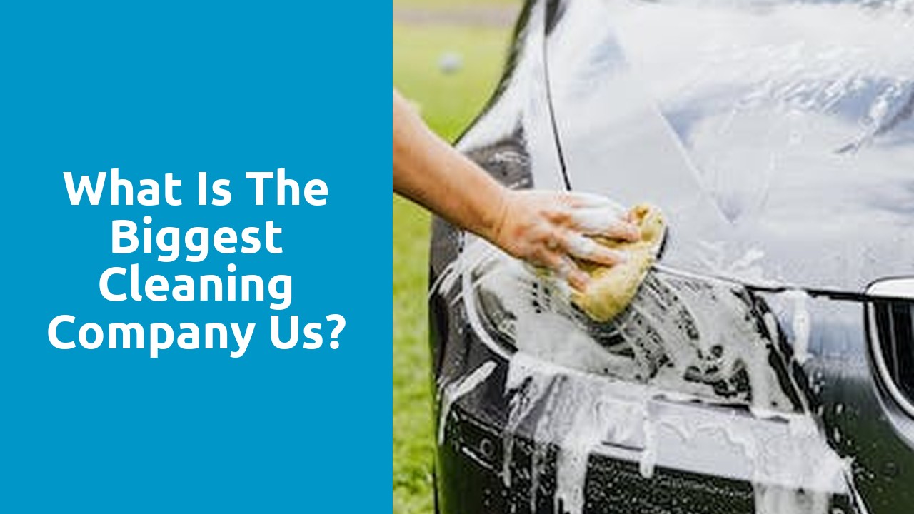What is the biggest cleaning company us?