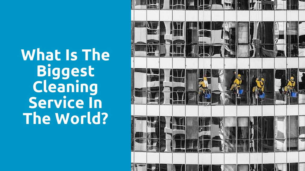 What is the biggest cleaning service in the world?