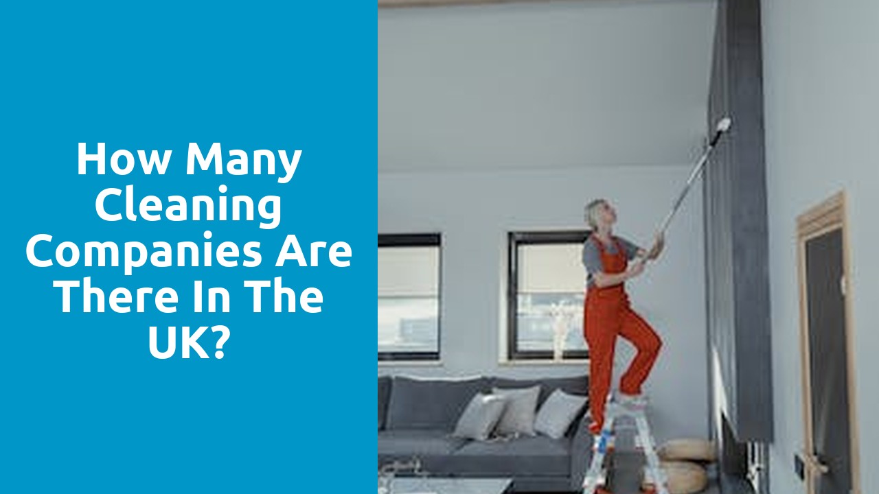 How many cleaning companies are there in the UK?