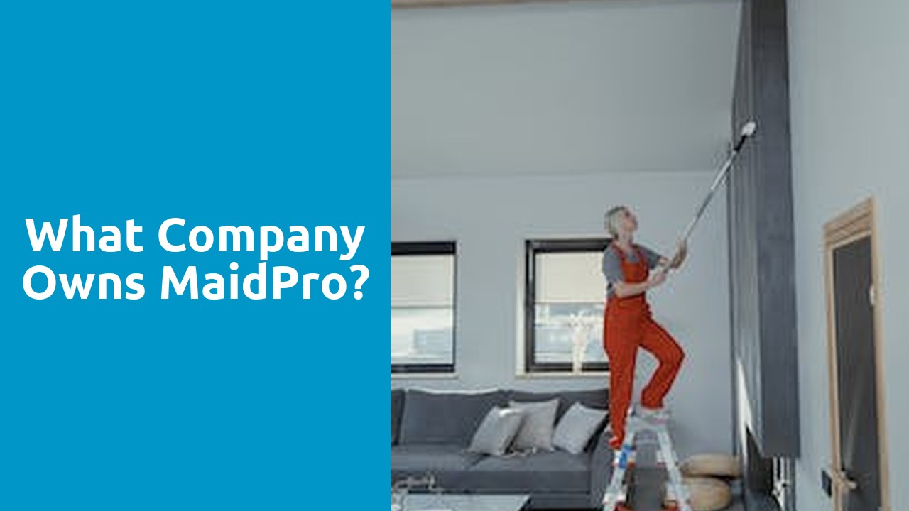 What company owns MaidPro?