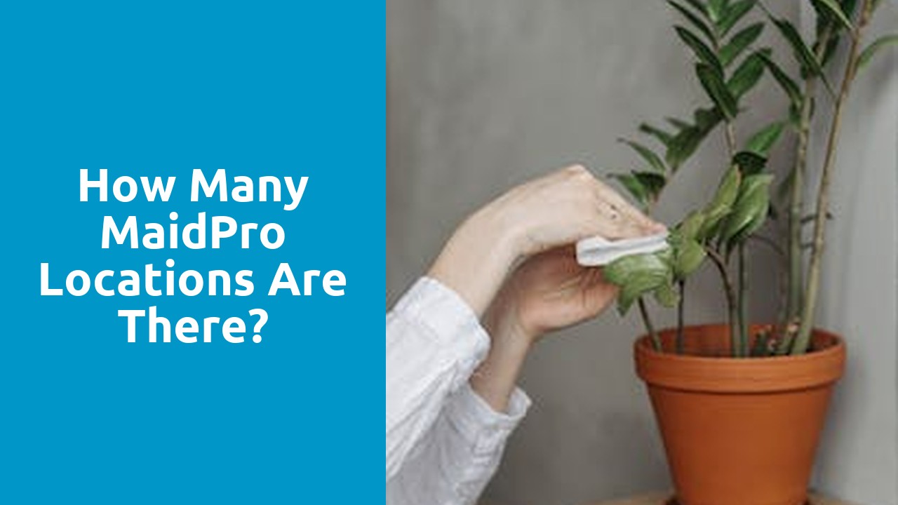 How many MaidPro locations are there?