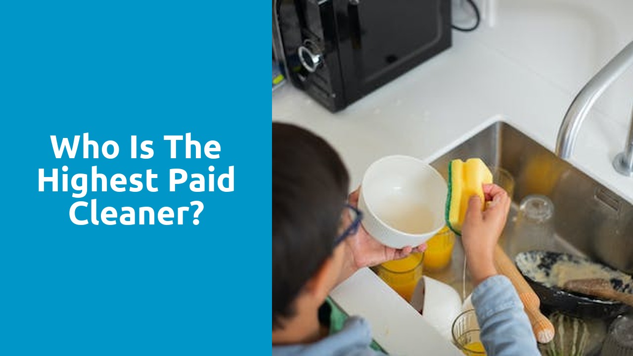 Who is the highest paid cleaner?